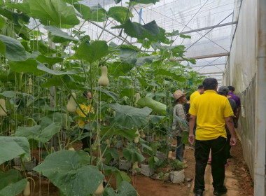 ตรวจเยี่ยมการดำเนินงานสหกรณ์การเกษตรพัฒนาพื้นที่สูงแบบโครงการหลวงน้ำแป่ง จำกัด ... พารามิเตอร์รูปภาพ 12